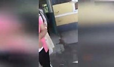 屁屁视频,趣味互动，轻松学习新知